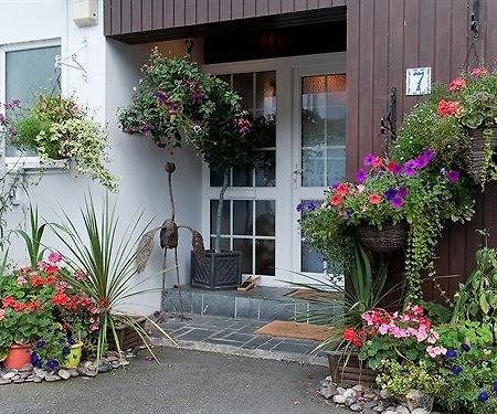 Guesthouse Topos St Austell Exterior foto